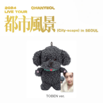 CHANYEOL 2024 LIVE TOUR '都市風景 (CITY-SCAPE)' MD 10CM TOBEN VERSION COVER