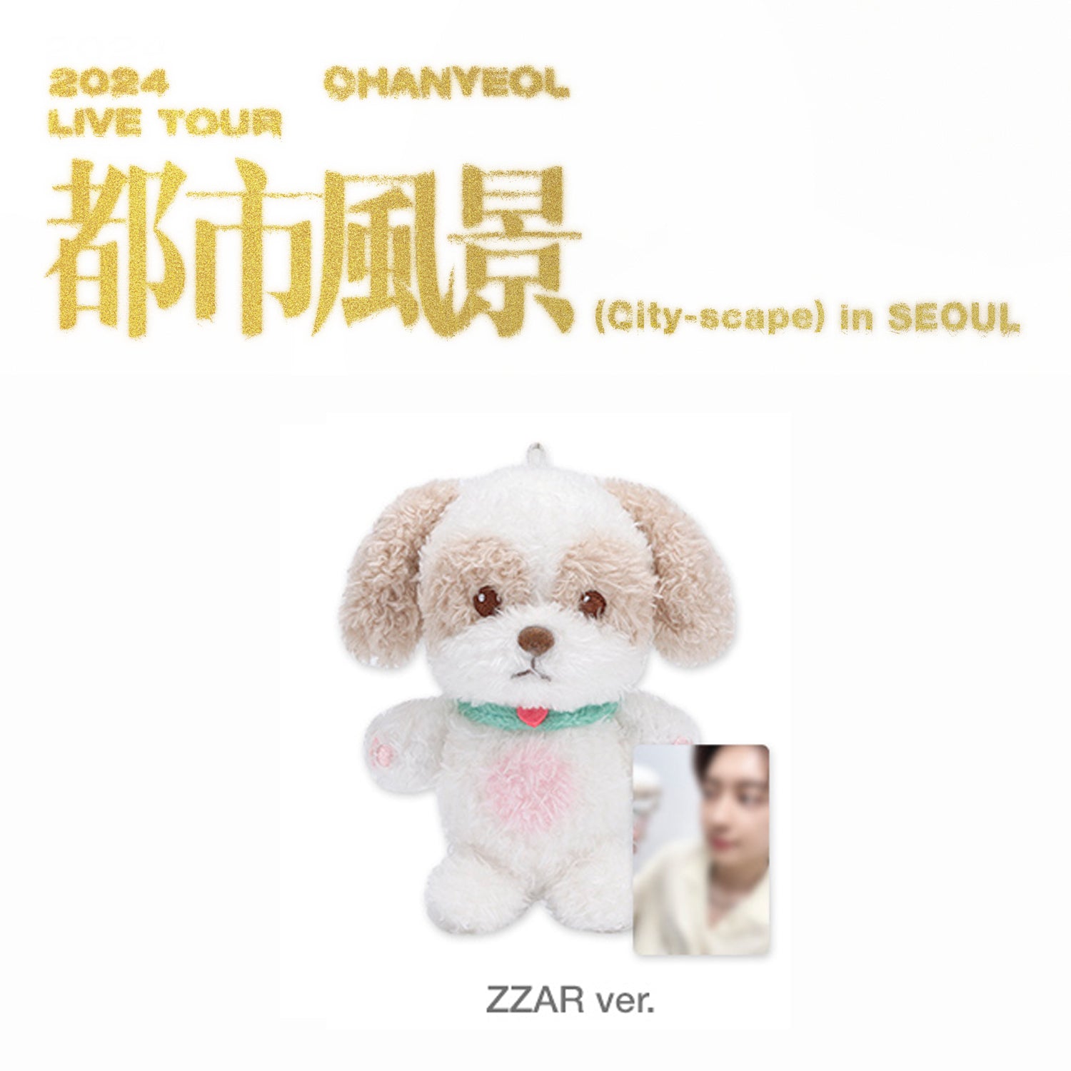 CHANYEOL 2024 LIVE TOUR '都市風景 (CITY-SCAPE)' MD 10CM ZZAR VERSION COVER