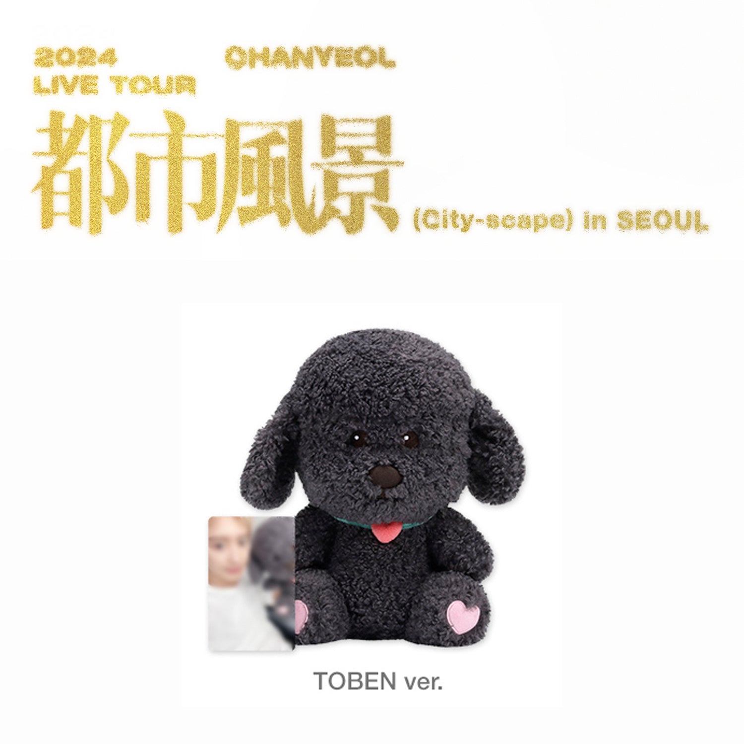 CHANYEOL 2024 LIVE TOUR '都市風景 (CITY-SCAPE)' MD 40CM TOBEN VERSION COVER