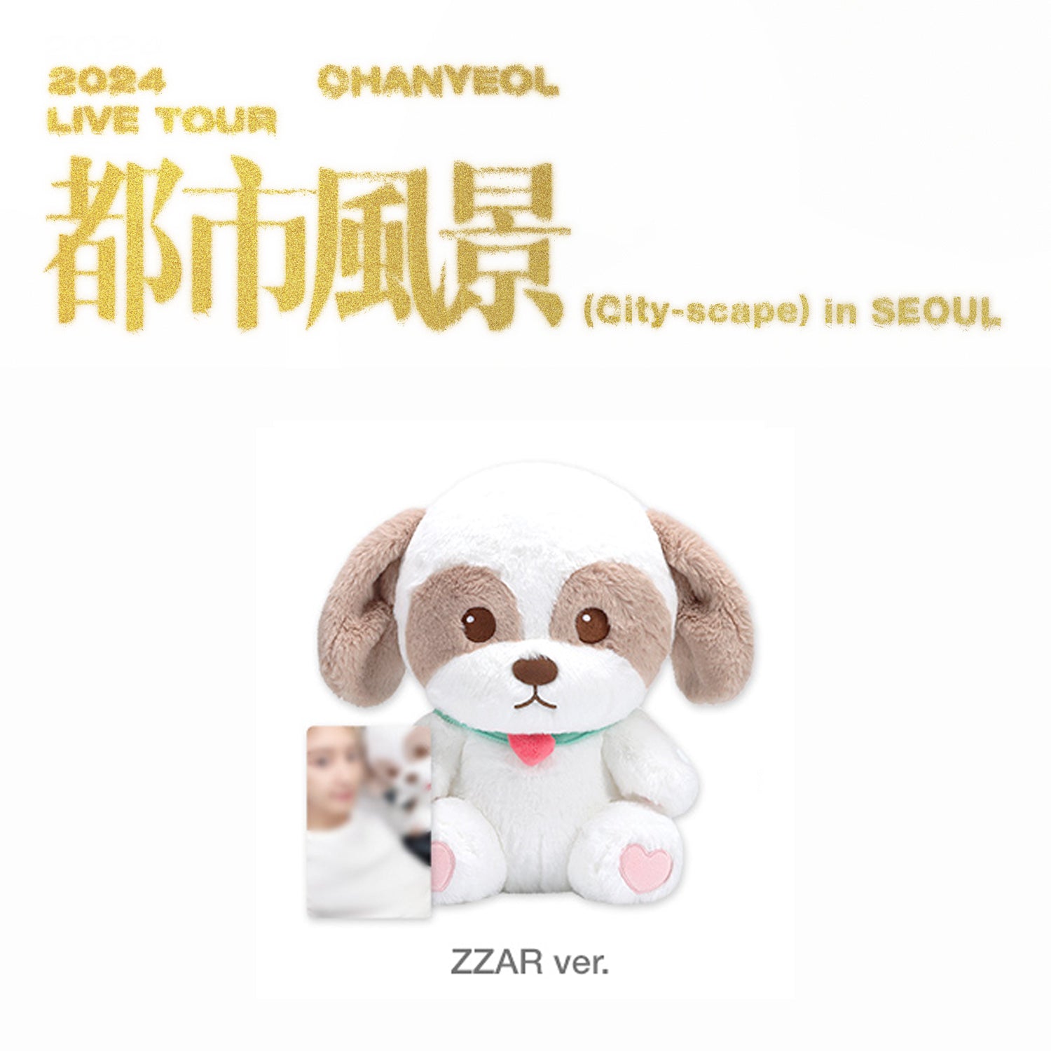 CHANYEOL 2024 LIVE TOUR '都市風景 (CITY-SCAPE)' MD 40CM ZZAR VERSION COVER