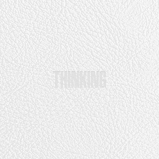 ZICO 1ST ALBUM 'THINKING'